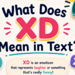 XD Meaning