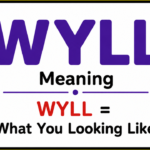 wyll meaning in text